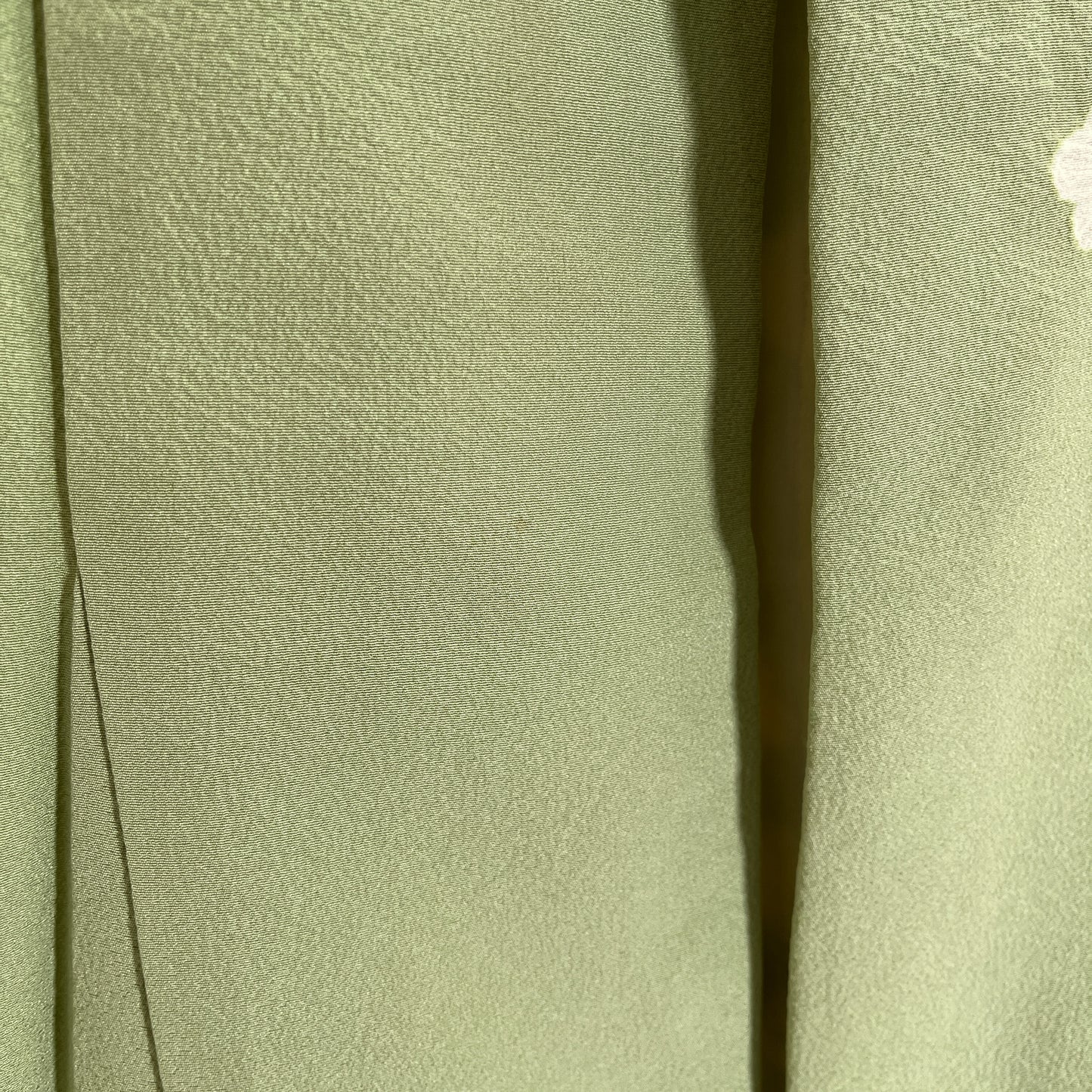 K127337-2　訪問着　桜枝文様　若草色